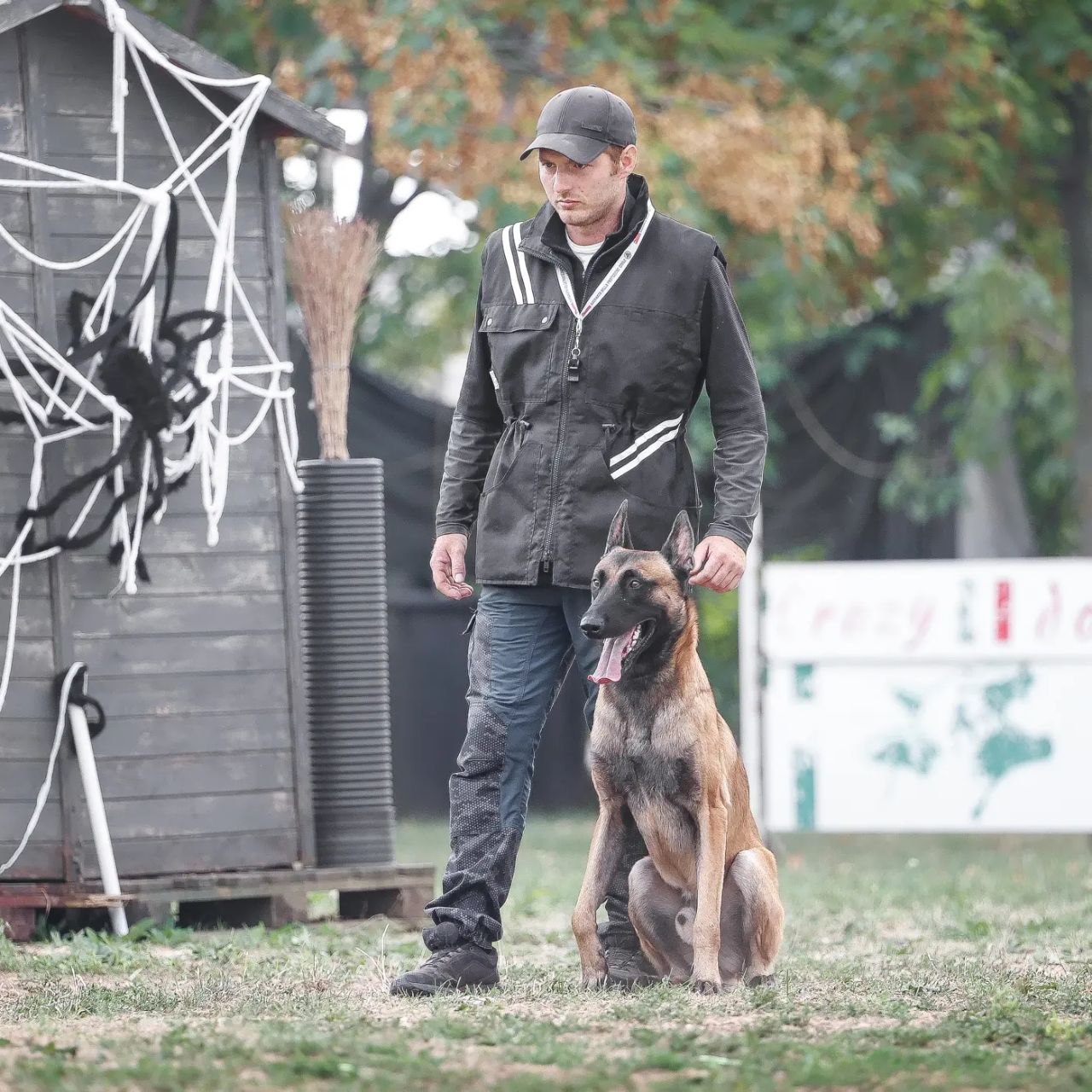 Alla base di tutto c’è sempre lo stesso principio: non esiste un metodo universale, esiste il cane che hai davanti. Il mio compito è osservare, adattare e costruire il lavoro nel modo più preciso possibile.